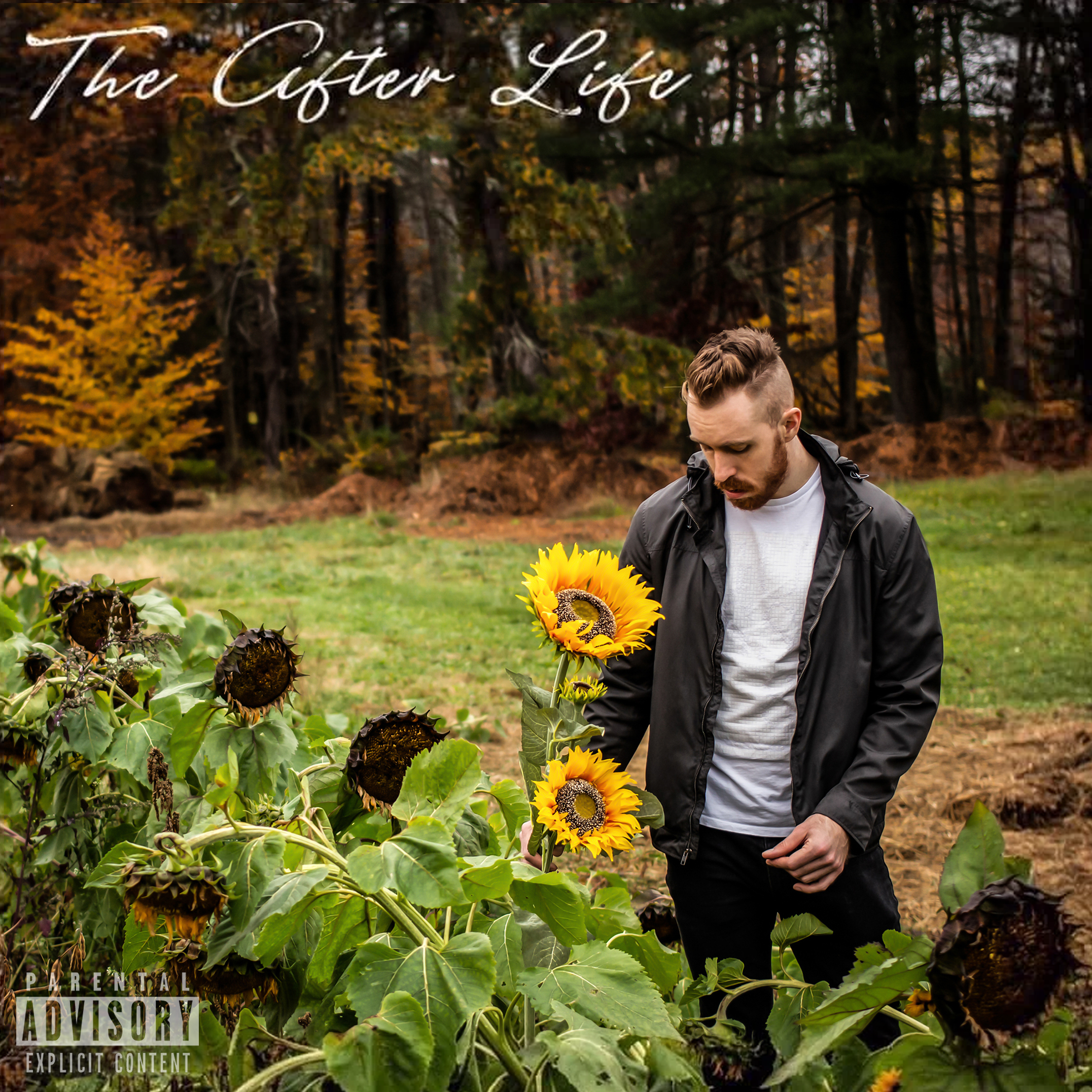 The After Life Album Art